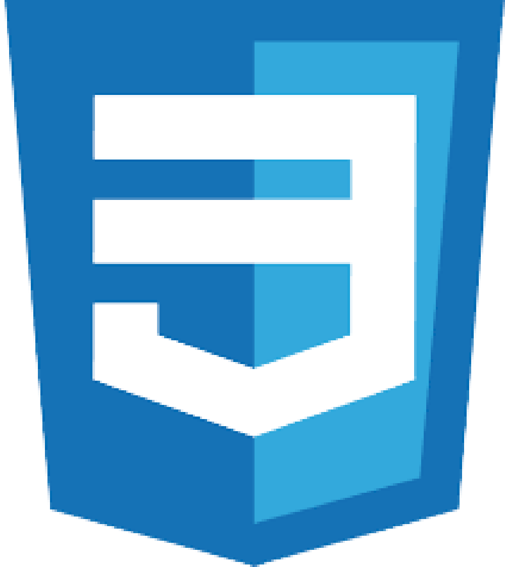 CSS Logo